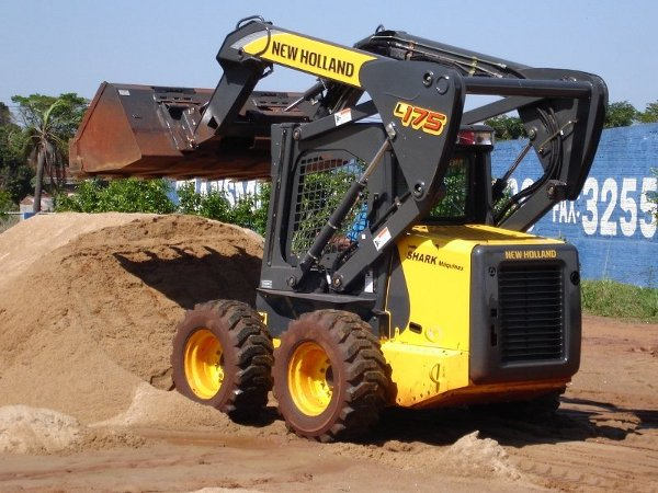 Bobcat